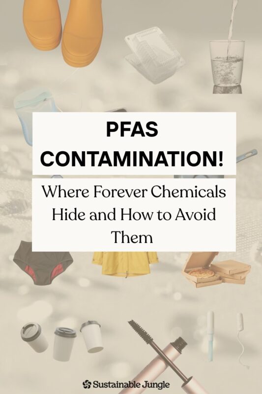 Forever Chemicals (PFAS): Where They Hide & What To Do