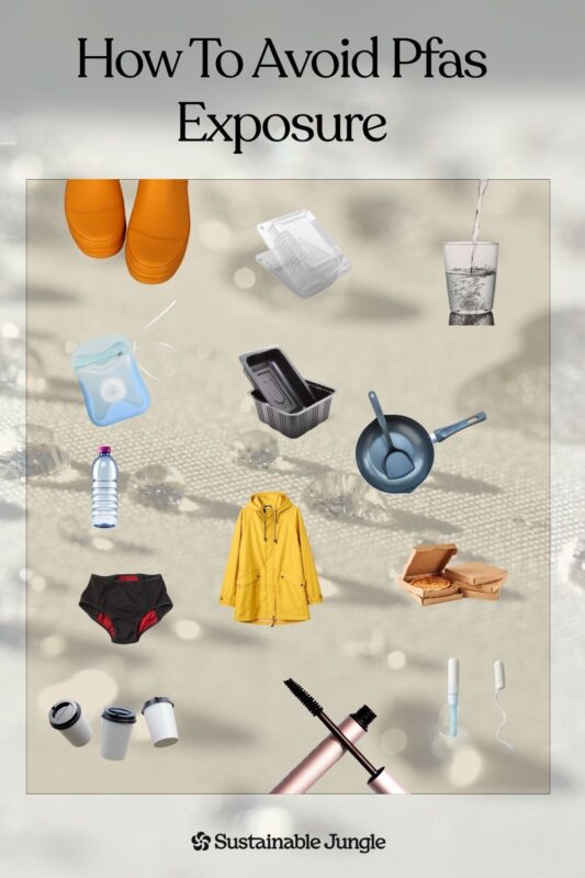 Forever Chemicals (PFAS): Where They Hide & What To Do