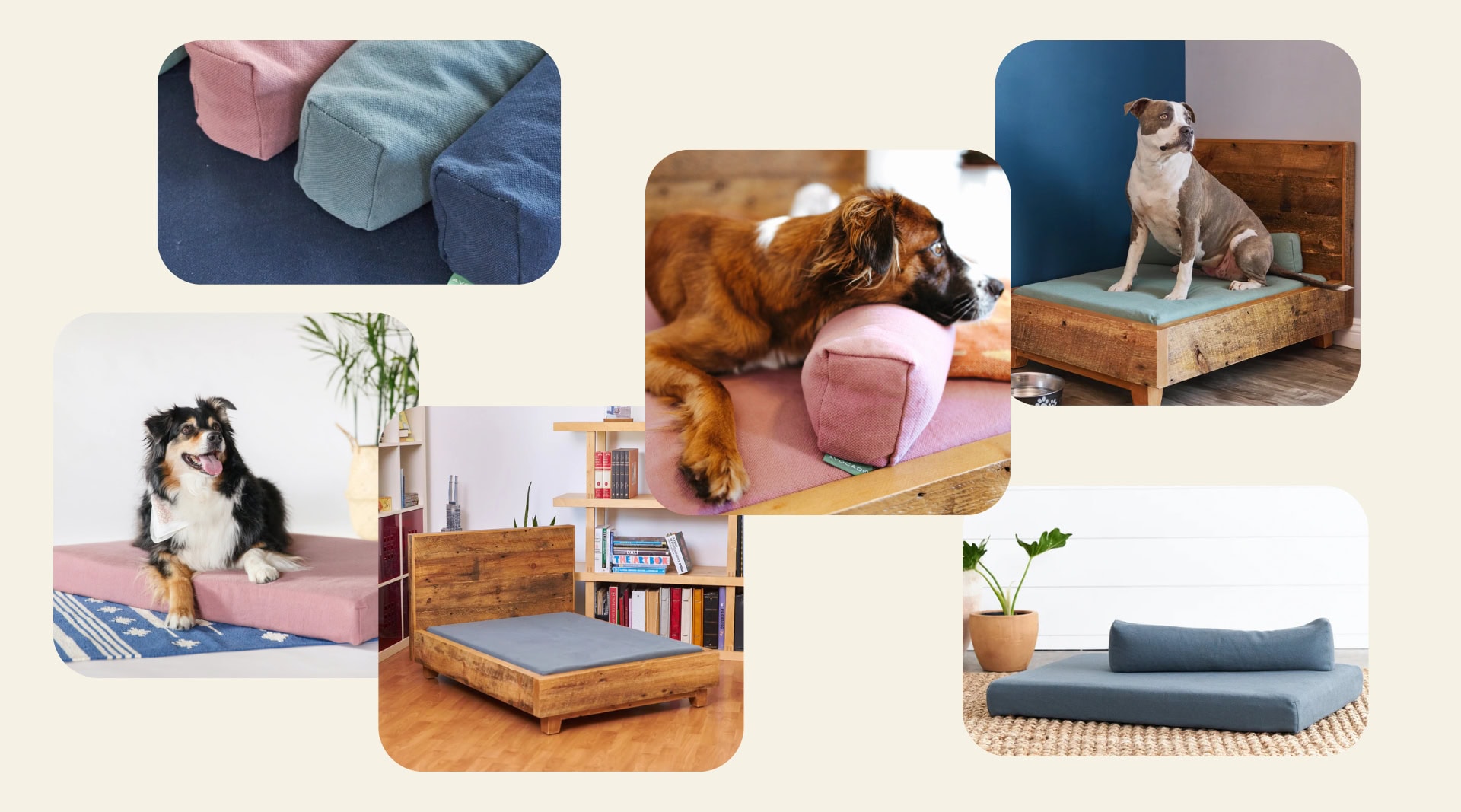 Avocado organic dog beds in pink, blue, and green GOTS-certified organic cotton covers shown on reclaimed wood bed frames, with dogs resting on them in living room settings, plus a bolster-style dog pillow in blue