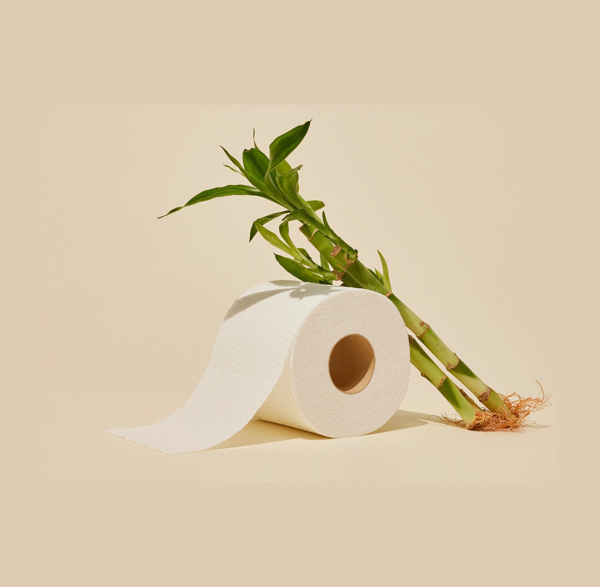 Reel Paper bamboo toilet paper, part of Sustainable Jungle's Initial Rating